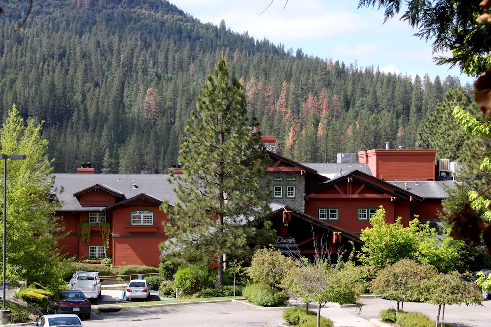 The Pines Resort - photo 133