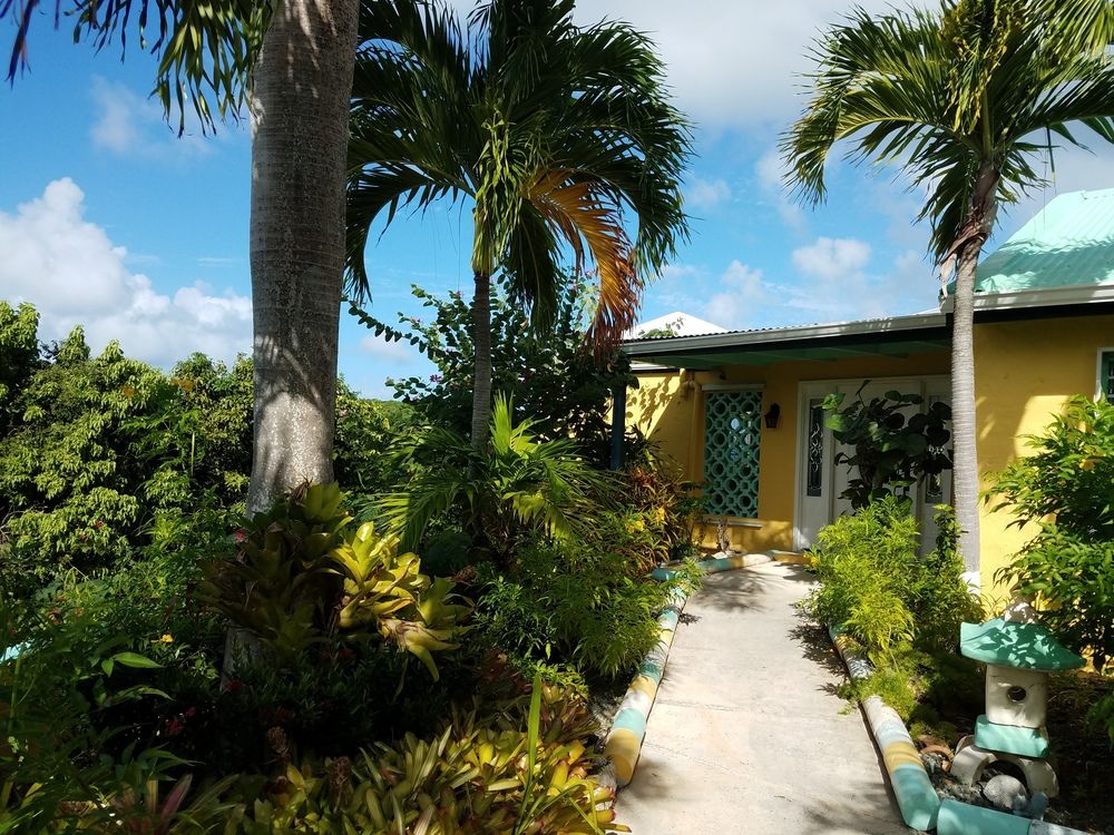 The View — Saint Croix — photo 2