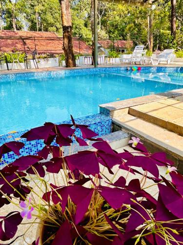 Drey at Druv Dakshin Farm Resort — 4-Star Luxury Hotel in Kalpatta, India