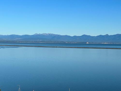 Atawhai Retreat Peace & Sea Views — 4-Star Luxury Hotel in Nelson, New Zealand