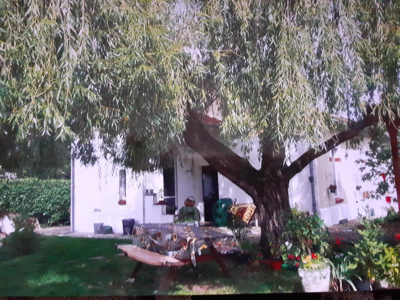 Peti Kaz — Unknown City — photo 2