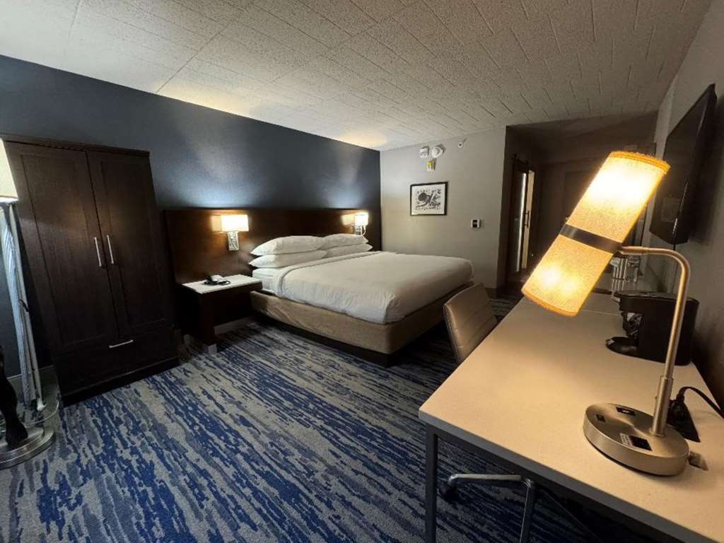 Skyline Hotel Detroit Airport SureStay Collection by BW - photo 21