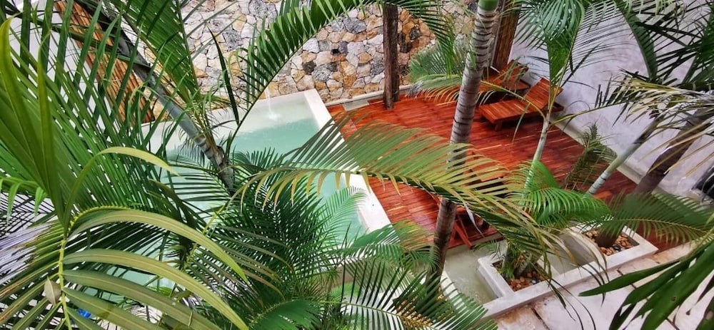 Hotel Casa Bamboo in Valladolid, Mexico