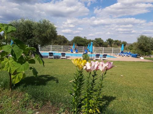 Cidadelhe Rupestre Turismo Rural — hotel in Pinhel