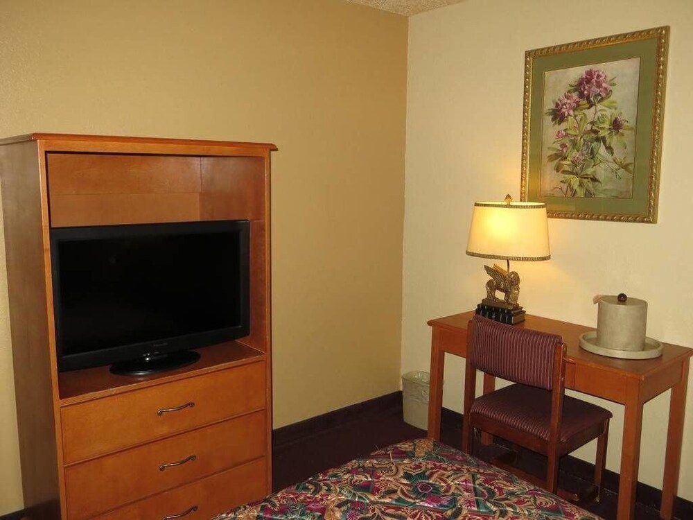 Bridger Inn Hotel Las Vegas - photo 5