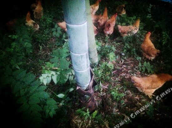 Chenjia Dayuan Hotel in Deqing, People's Republic of China