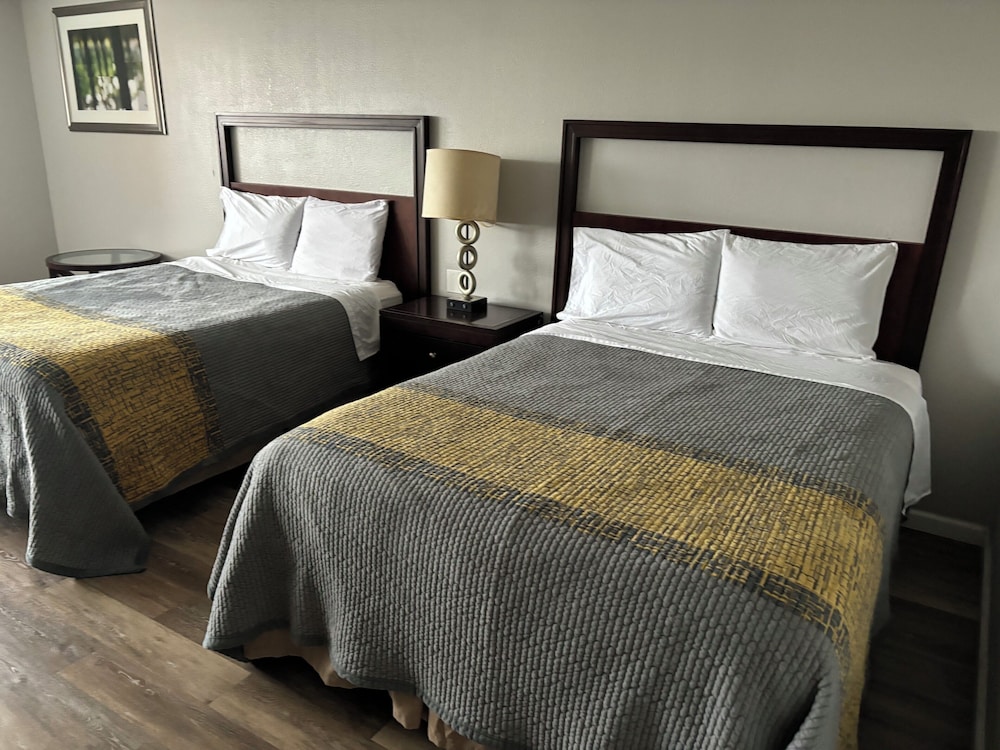 APM Inn and Suites - photo 5