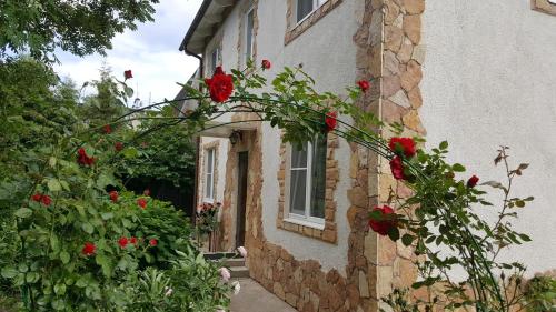 Guest House Strelna 21000055 — Strel Na