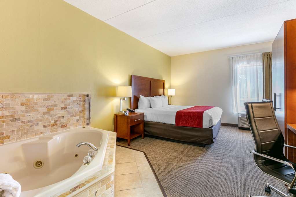 Comfort Inn Chattanooga Downtown Southside - photo 58