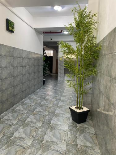 Studio apartment with balcony in Tbilisi