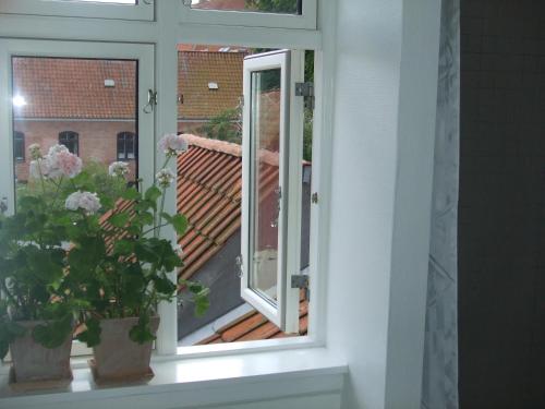 Nattely I Viborg By in Viborg, Denmark