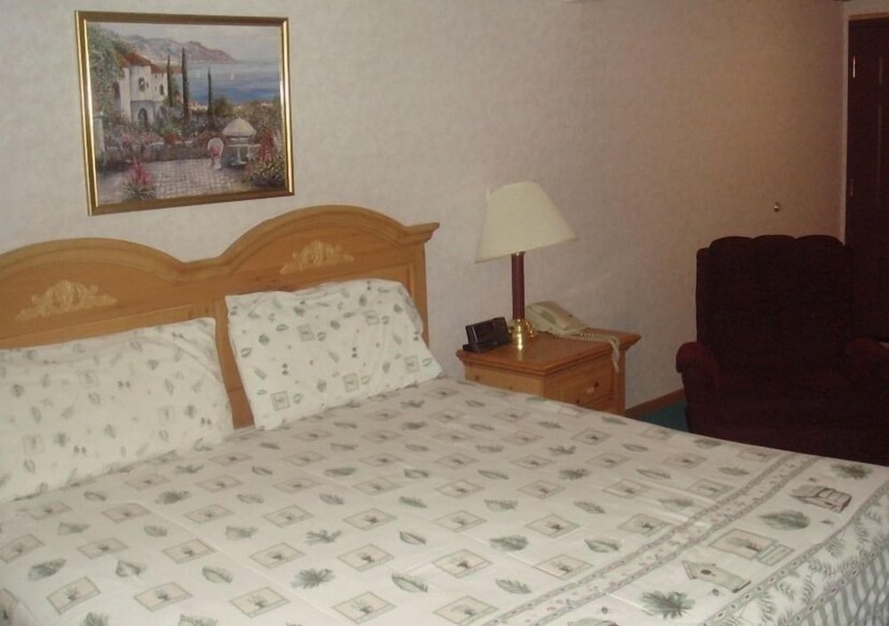 Townhouse Inn & Suites - photo 4