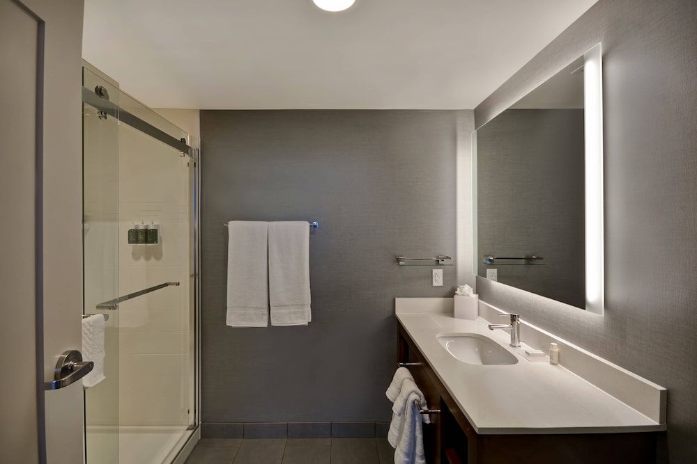 Residence Inn by Marriott New Orleans French Quarter Area Central Business District - photo 50