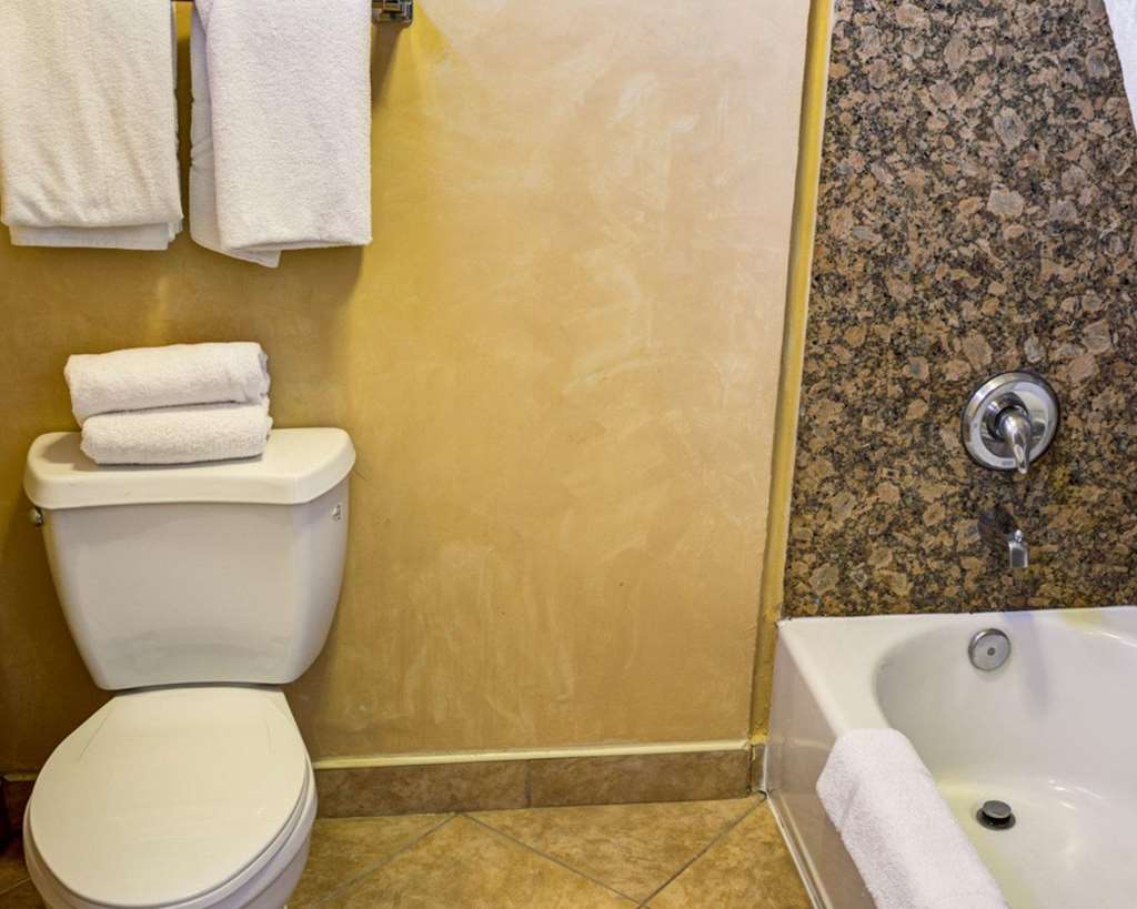 Rodeway Inn near Venice Beach - photo 21