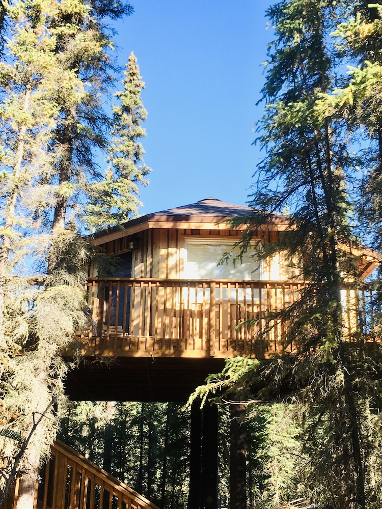 Cloudberry Cabin 10420448 — Tok