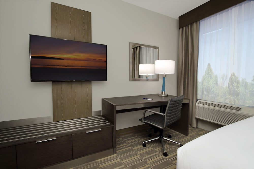 Holiday Inn Express & Suites Lake Charles South Casino Area by IHG - photo 21