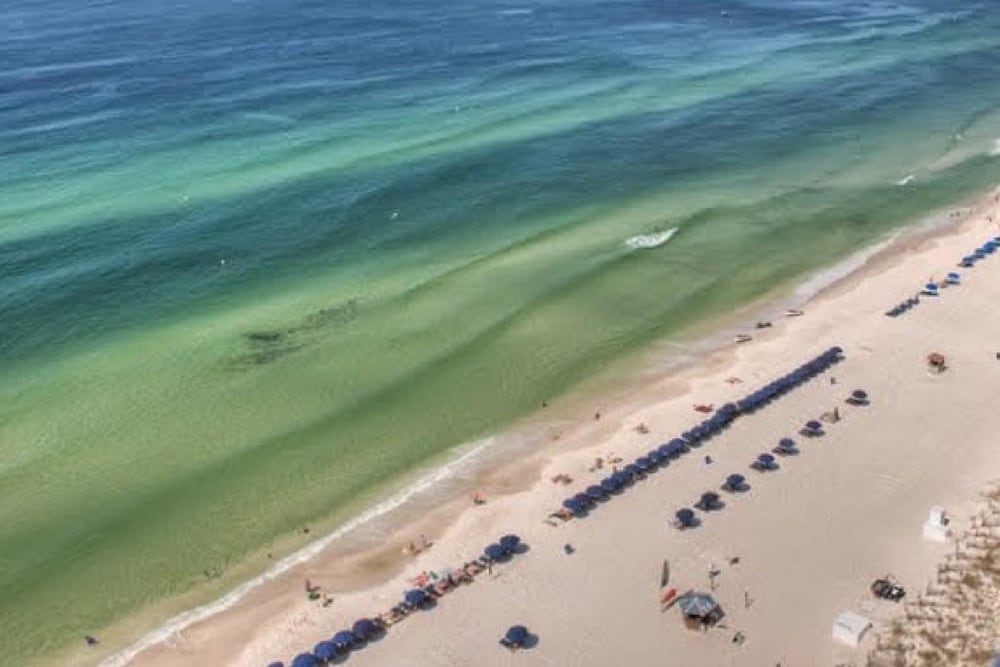 Sterling Beach Resort 3 Bedroom Apartment - photo 16