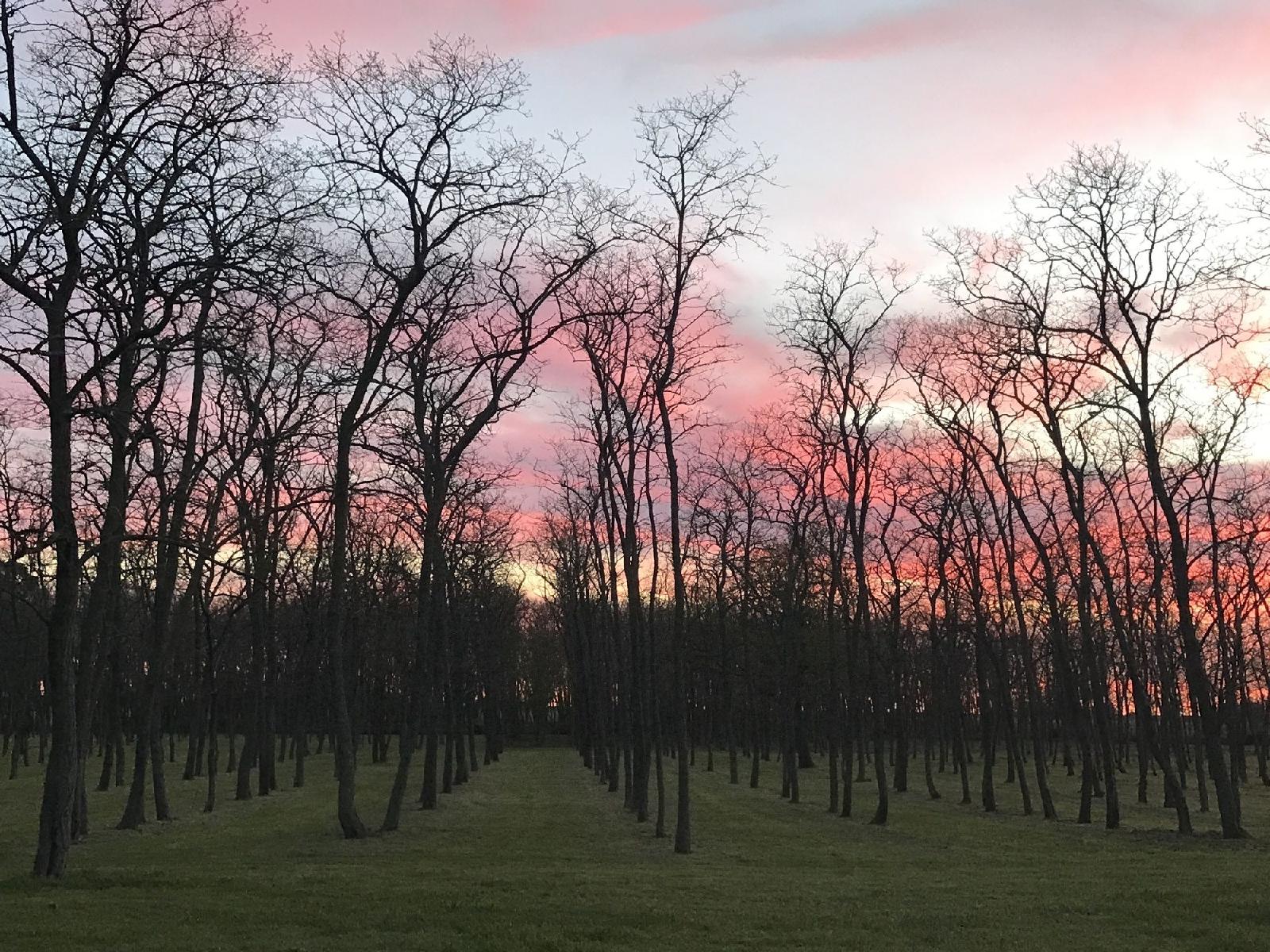 Estancia Fangio Balcarce By Esplendor Hoteles — Balcarce