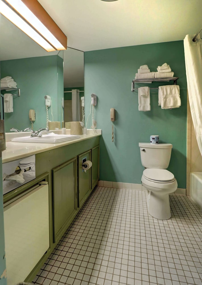 Senator Inn & Spa - photo 76