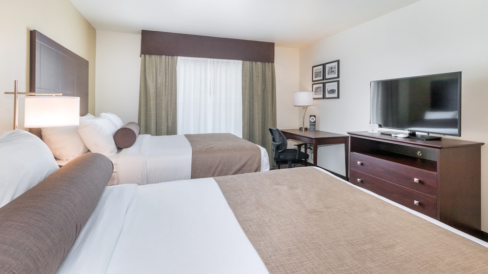 Cobblestone Hotel and Suites Janesville - photo 16