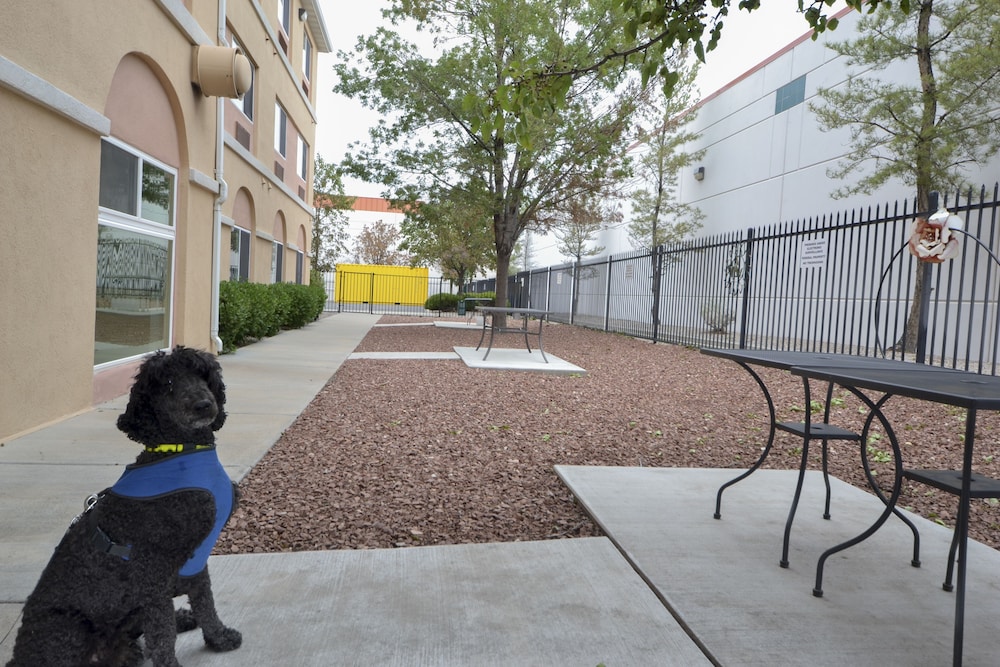 Days Inn & Suites by Wyndham Airport Albuquerque - photo 35