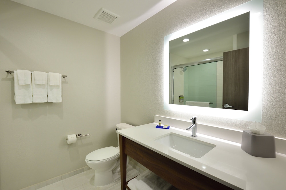 Holiday Inn Express & Suites Spring Woodlands Area by IHG - photo 4