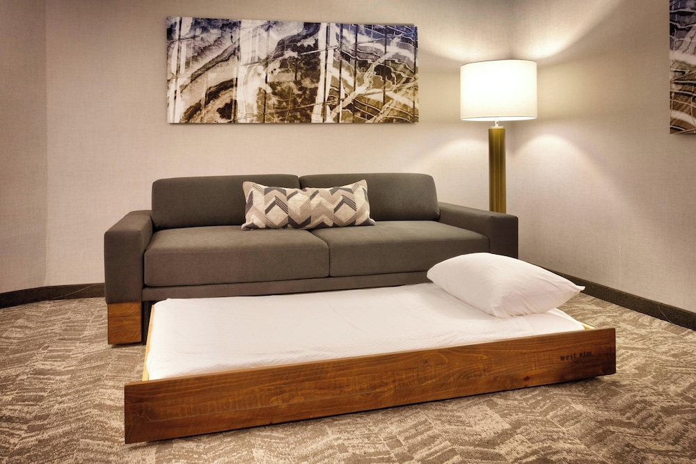 SpringHill Suites by Marriott Coralville - photo 9