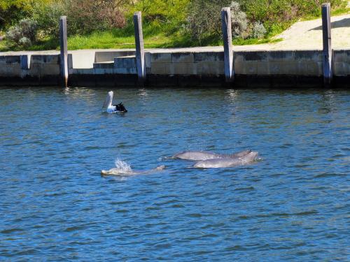 Mandurah Island Retreat — hotel in Wannanup