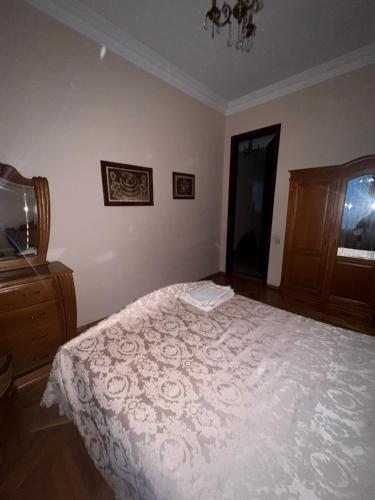 Apartment in the center of the city Vera