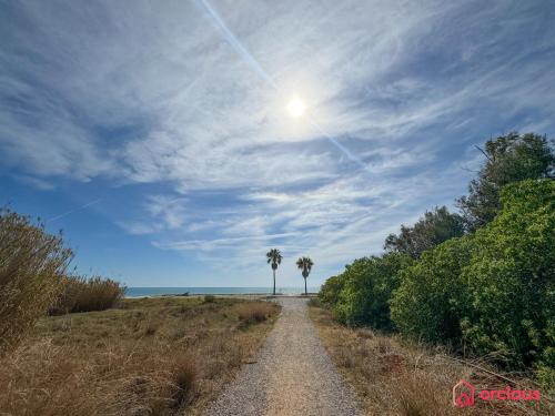 Marina Dream in Oropesa Del Mar, Spain