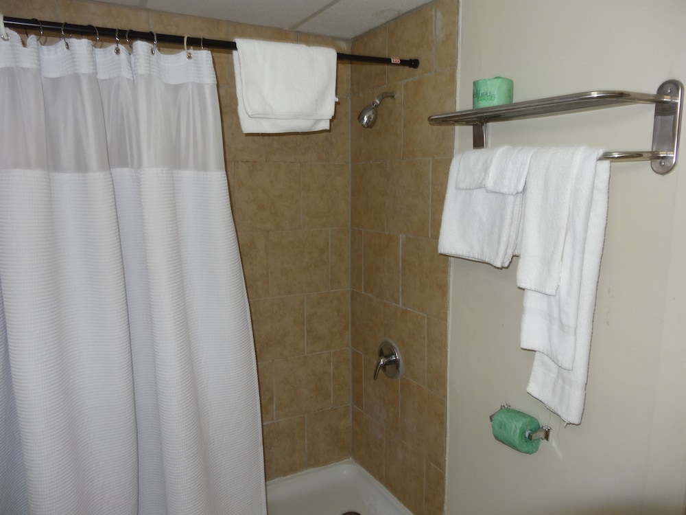 Red Apple Inn - photo 13