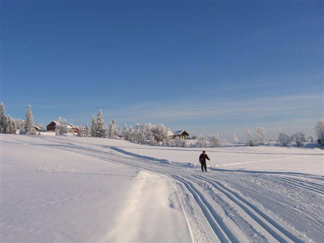 Kamben Hyfjellshotell in Gol, Norway