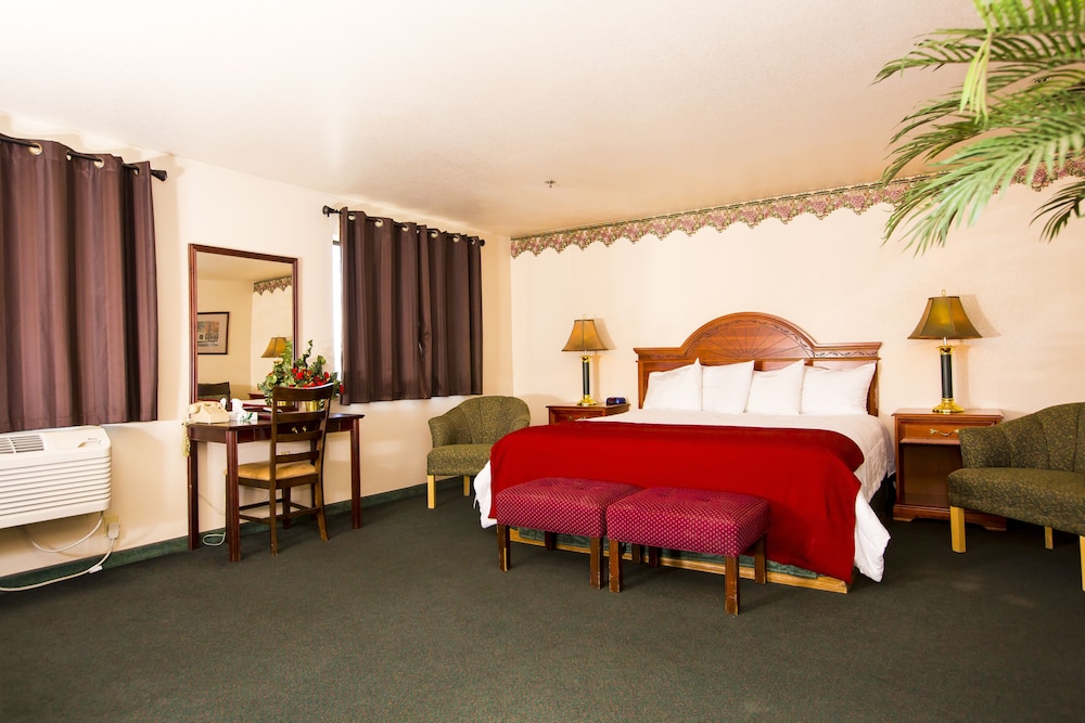 Village Inn & Suites - photo 15