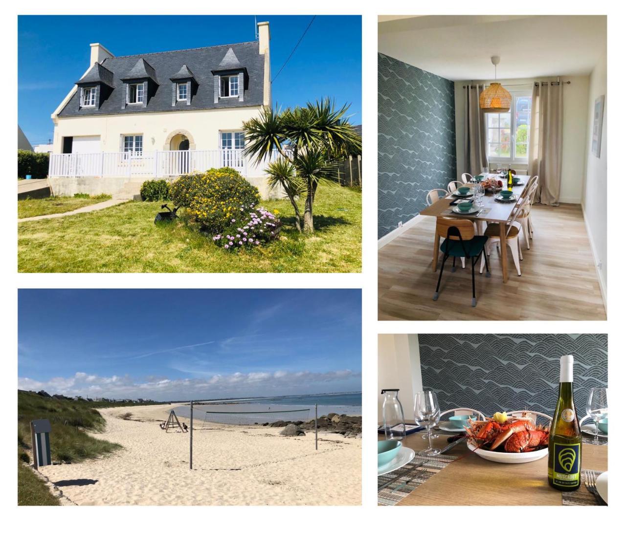 Moma in Plouescat, France