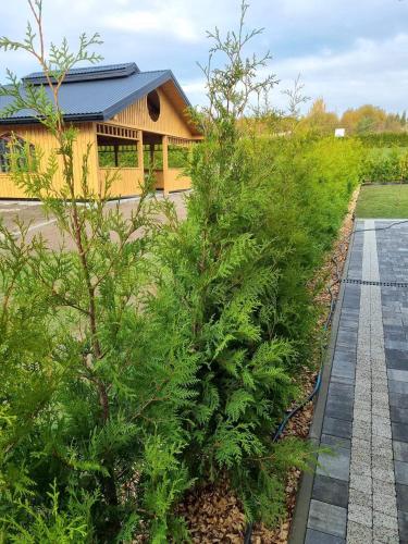 Laki house — 4-Star Luxury Hotel in Jasien, Poland