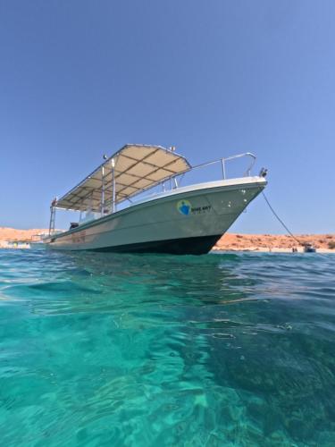 Dive Art Oman in Unknown City, Oman