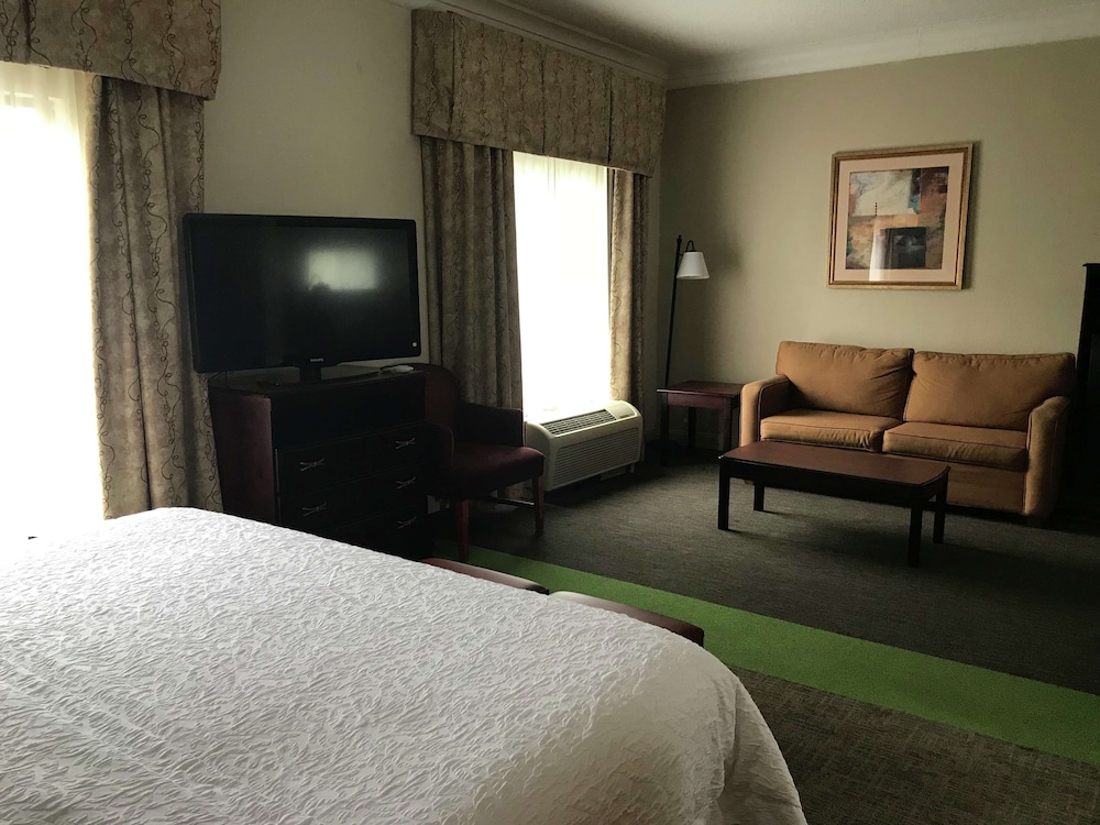 Hampton Inn Vidalia - photo 18