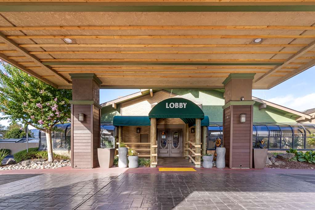 Best Western Plus Forest Park Inn - photo 14