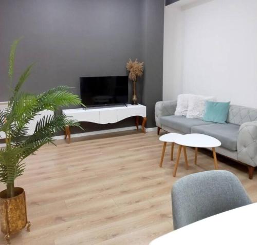 Luxury 2 BR Apartment in Isani