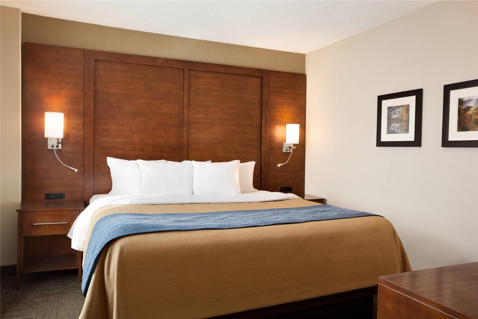 Comfort Inn & Suites Presidential Downtown Little Rock - photo 22