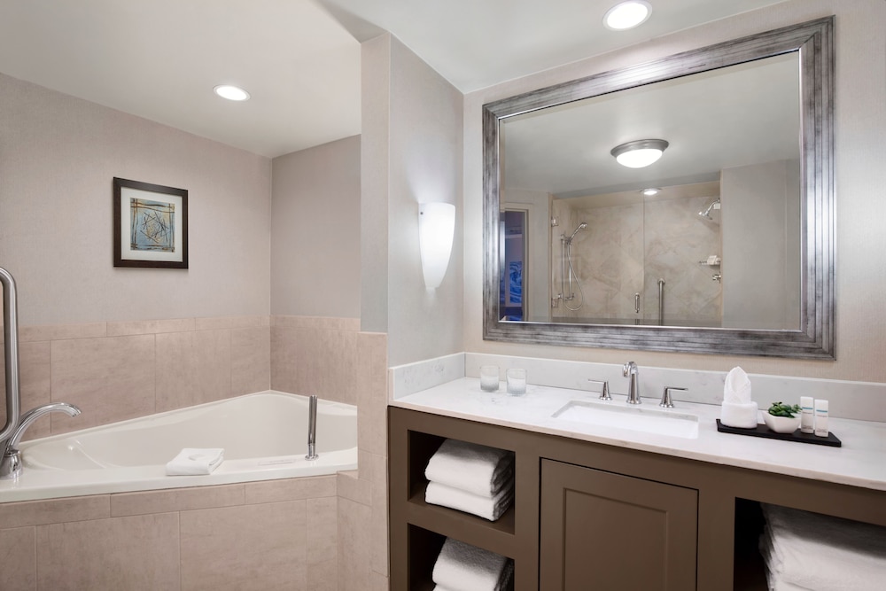 Embassy Suites by Hilton Fort Worth Downtown - photo 16