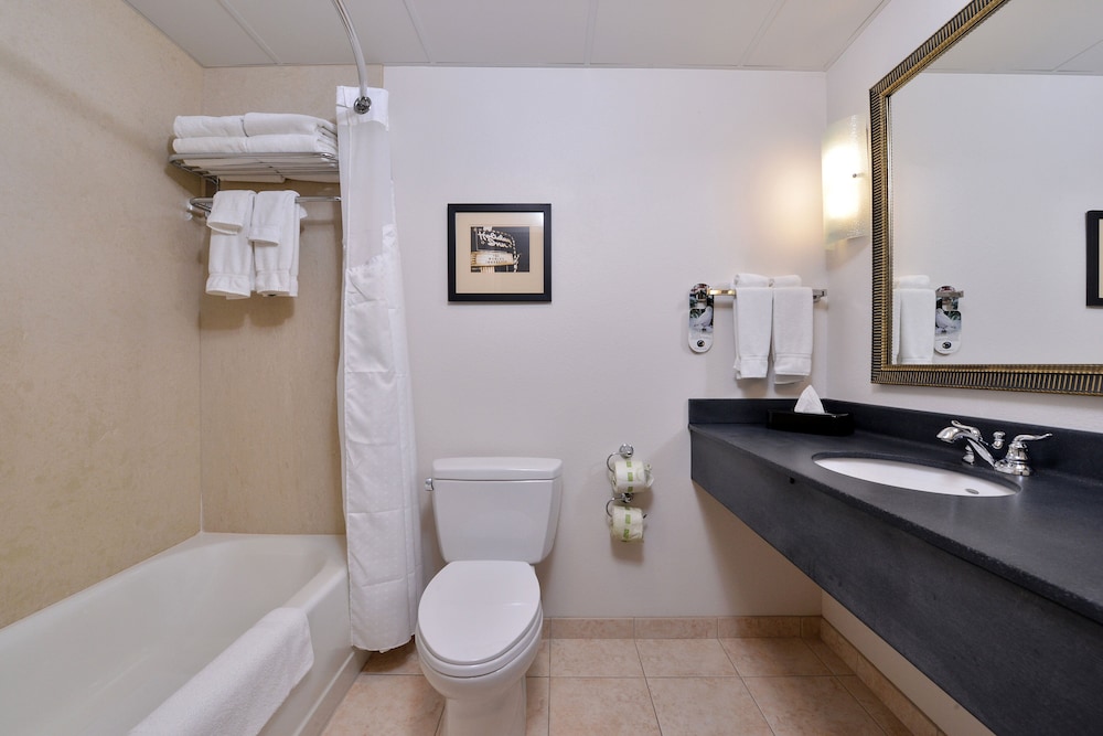 Holiday Inn Madison at The American Center by IHG - photo 21