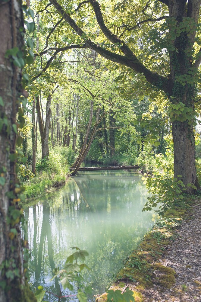 La Tour de Labergement in Dijon, France