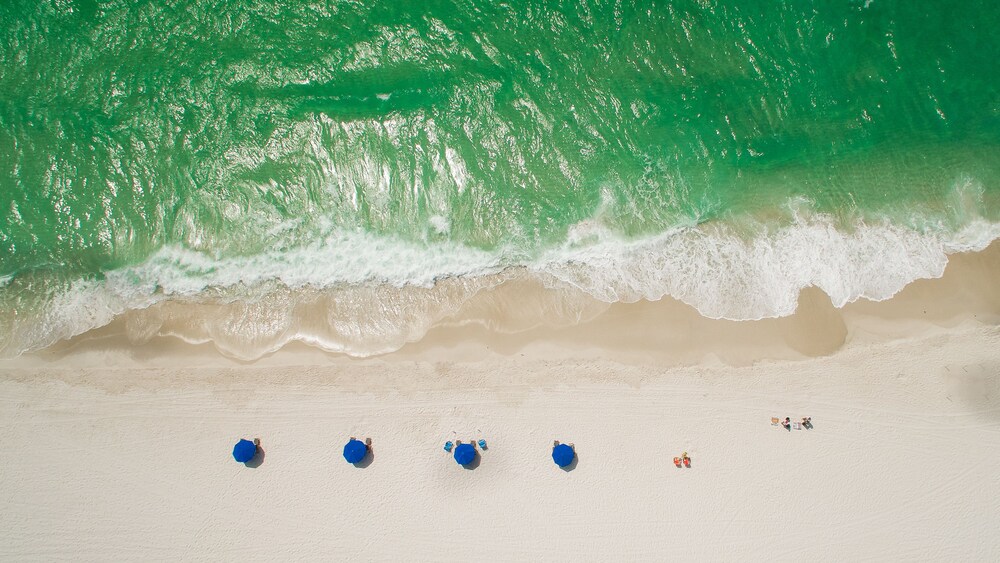Surfside 5 By BlueSwell - photo 53