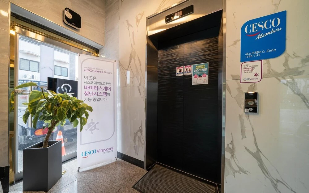 Chungju May in Waegwan, South Korea