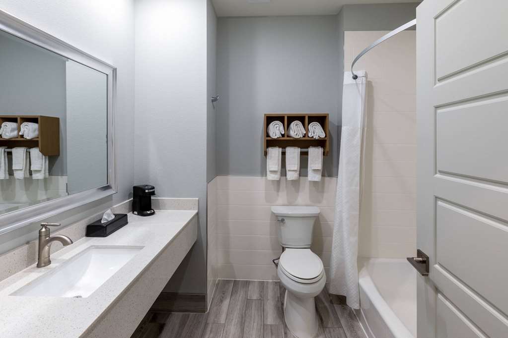 Days Inn & Suites by Wyndham Downtown University of Houston - photo 24
