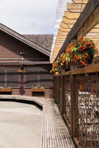 Sol Duc Hot Springs Resort - photo 5