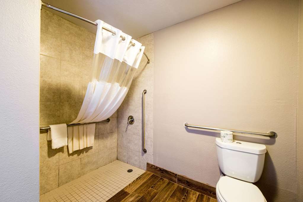 Quality Inn University near Downtown - photo 16