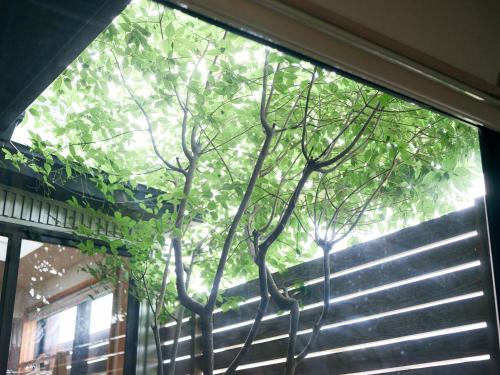 Mubean in Nara-Shi, Japan