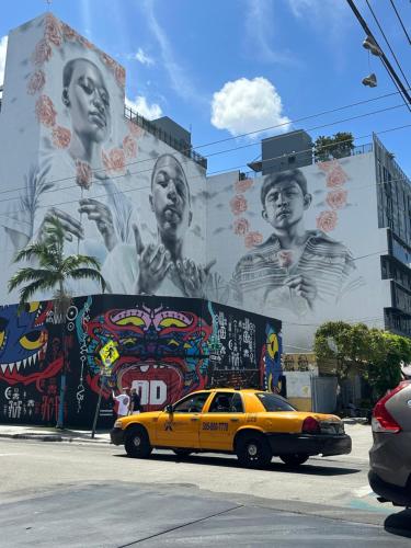 Wynwood Beds - featured photo